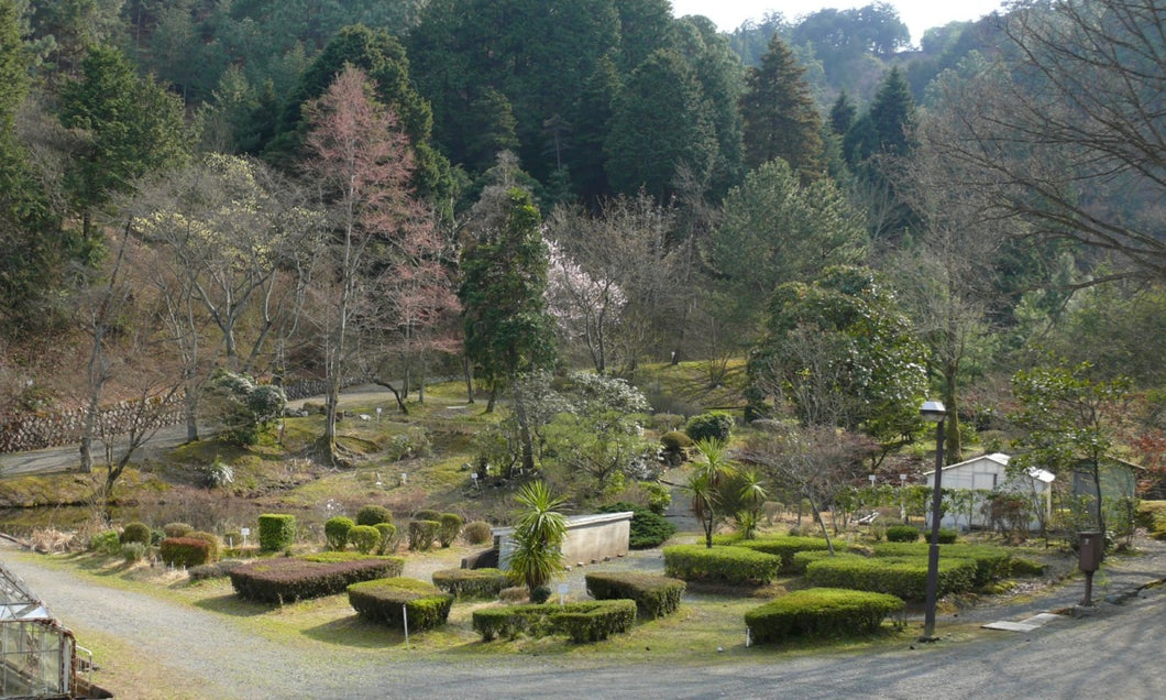 上賀茂試験地に行こう！